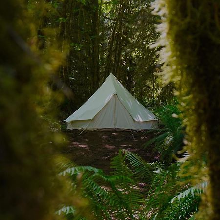 Olympic Glamping Port Angeles Exterior foto