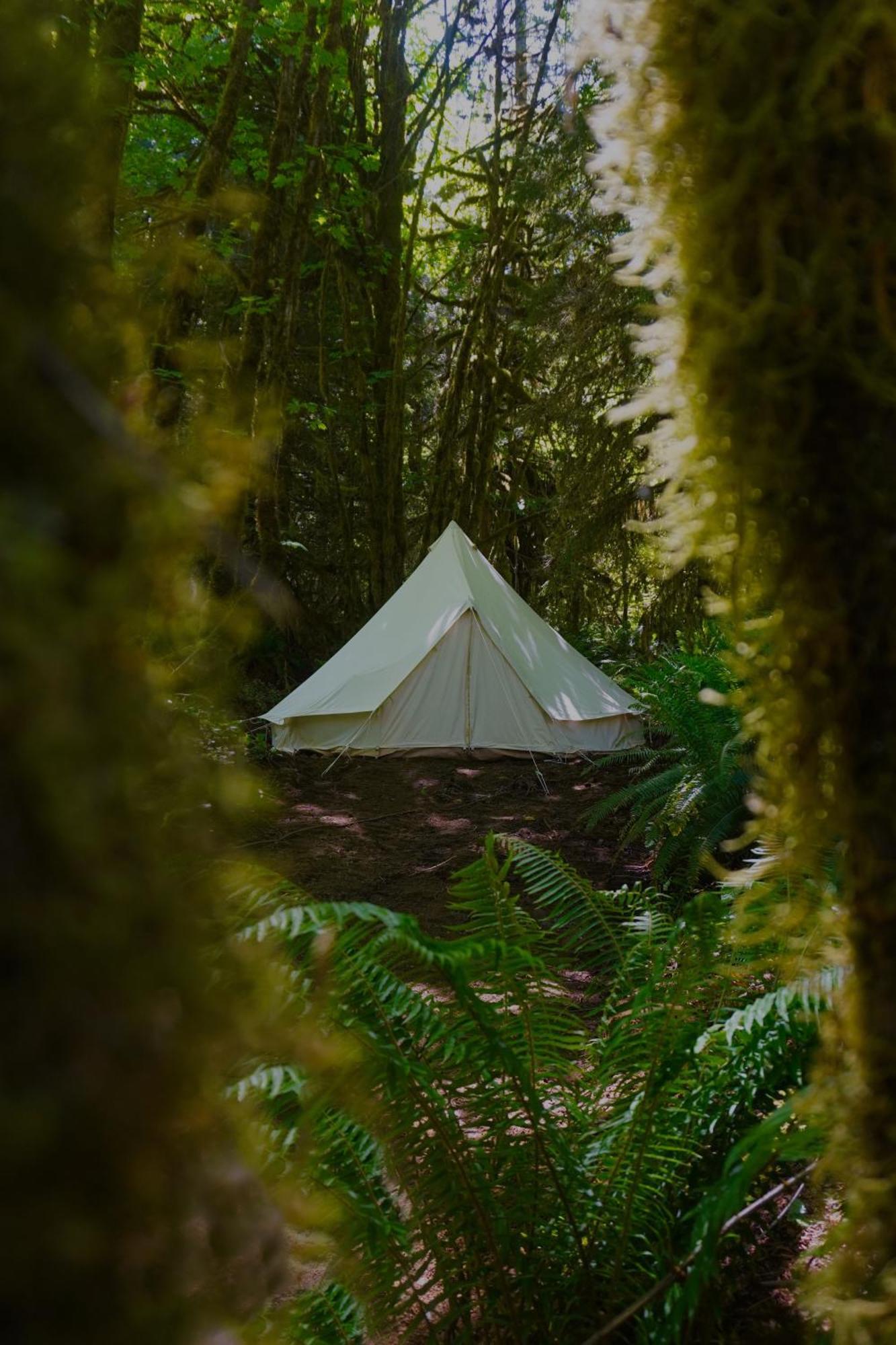 Olympic Glamping Port Angeles Exterior foto